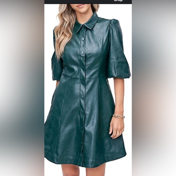 Holiday 🌲 Forest Hunter Green Faux Leather Dress - Picture 1 of 15